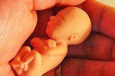Alarma la cantidad de abortos ilegales que se realizan en la provincia