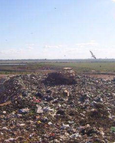 Ensenada: Los vecinos reclaman por la contaminaci�n en el municipio