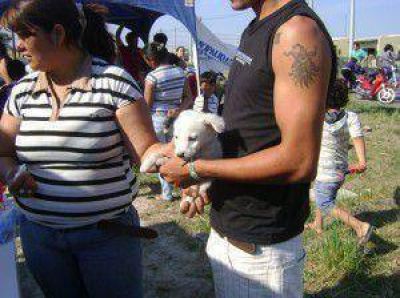 Esta semana arranca el servicio de vacunaci�n y castraci�n de mascotas