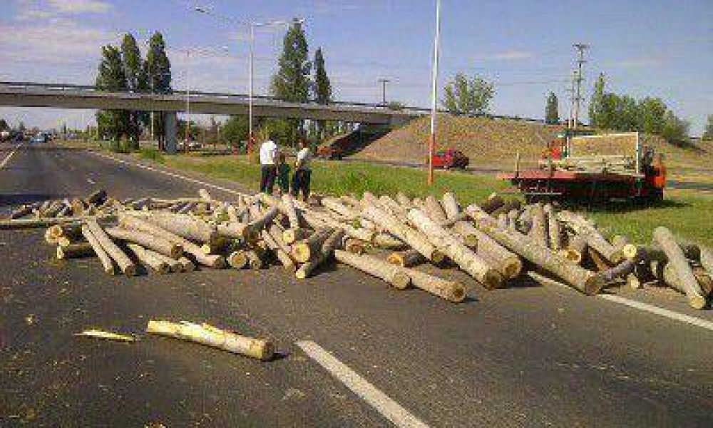 Un cami�n volc� su carga de troncos mientras transitaba por el acceso Sur