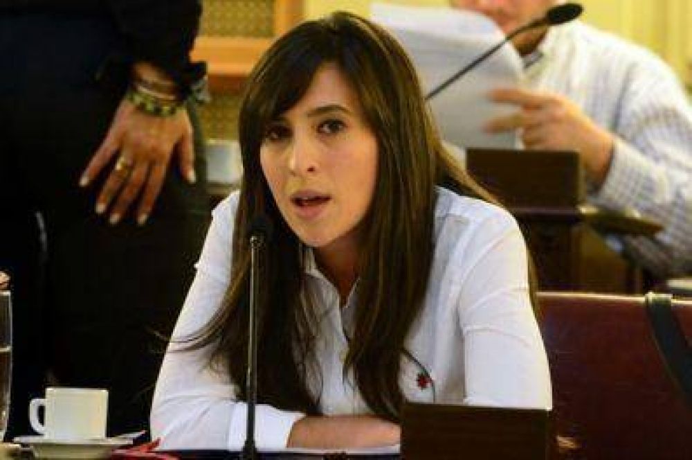 "Las C�maras son jueces �nicos"
