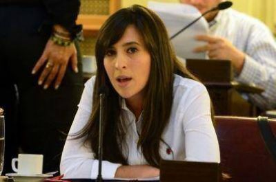 "Las C�maras son jueces �nicos"