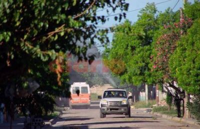 Fumigan para evitar la aparici�n del dengue