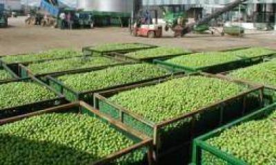 TODO SEA POR UNAS UVAS