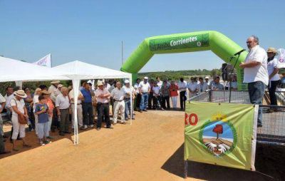 Desde el oficialismo, no descartan suspender obras para garantizar salarios