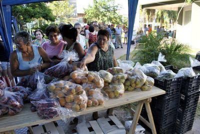 Regresan las frutas y verduras a bajos precios