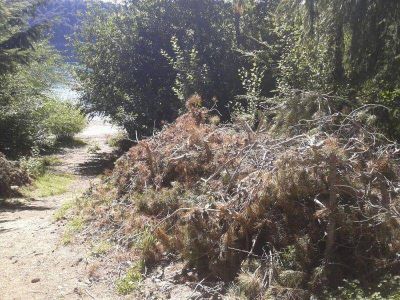 Reclaman ejecuci�n de orden judicial del a�o 1999 en acceso al Nahuel Huapi