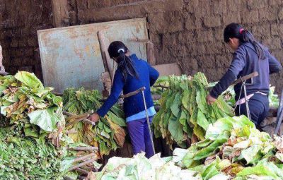 La AFIP encontr� en Jujuy a ocho menores trabajando y pidi� la detenci�n de su empleador