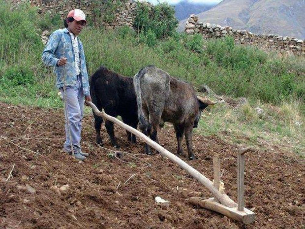 Apuntan a fortalecer la producci�n agr�cola familiar