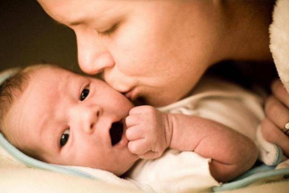 Brindan informaci�n sobre los procesos de adopci�n