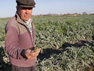 Invernaderos: entregan subsidios a chacareros