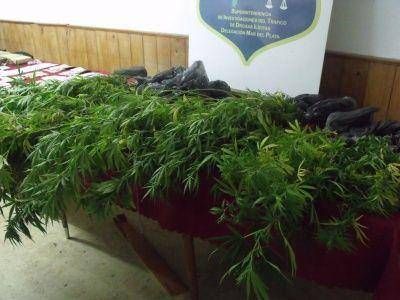 OPERATIVO ANTIDROGA :6 DETENIDOS EN VIVIENDA DEL BARRIO NUEVA POMPEYA