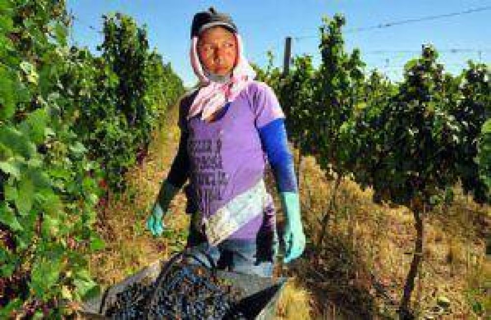 Trabajadores vitivin�colas piden suba de m�s de 50%
