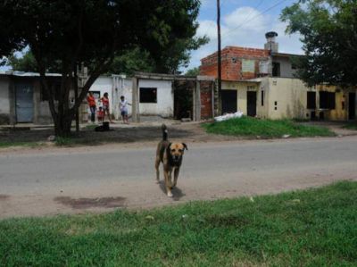 Una mujer de 77 a�os muri� luego de ser atacada por una perra