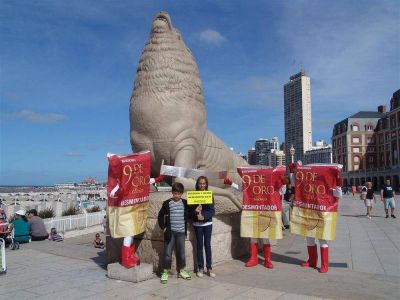 La denuncia de Greenpeace contra Bizcochos 9 de Oro contin�a en las playas