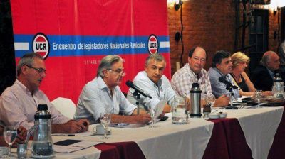 La UCR rechaz� convocar a Macri y confirm� la alianza con Binner, Solanas y Carri�
