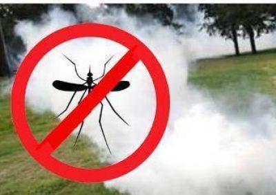 Para combatir invasi�n de mosquitos