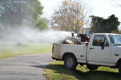Tareas de fumigaci�n en distintos puntos de la ciudad