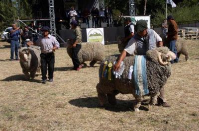 Ganaderos de Bariloche reclamaron por seguridad y agua