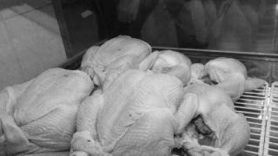 El cerdo y el pollo, la opci�n para enfrentar el elevado precio de la carne vacuna