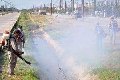 La comuna continuar� con la fumigaci�n en los barrios