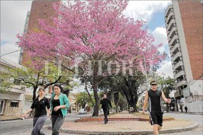 Remodelar�n la senda peatonal de bulevar G�lvez y Pellegrini