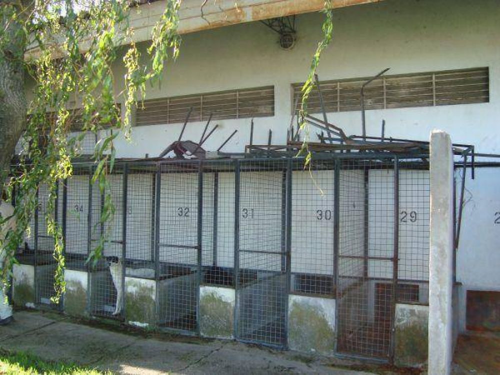 Reconocen que Zoonosis atraviesa una situaci�n de deterioro
