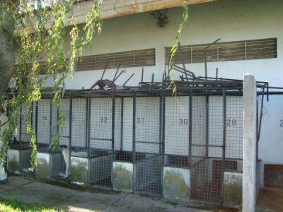 Reconocen que Zoonosis atraviesa una situaci�n de deterioro