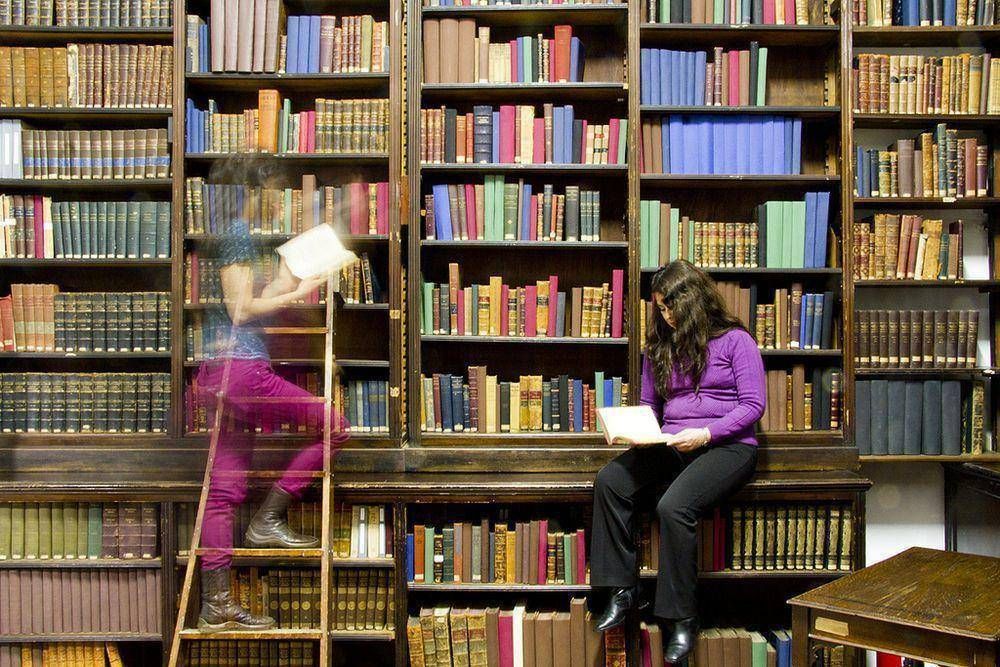 Las bibliotecas porte�as le abren sus puertas a m�s de 80 mil socios