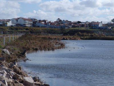 Greenpeace celebra medidas de conservaci�n de la Reserva