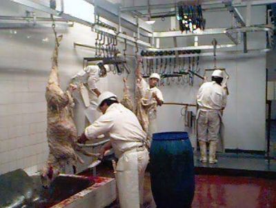 Matadero cerrado por un capricho de Sciurano
