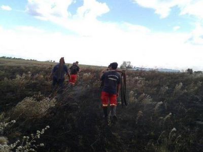 Un incendio afect� sesenta hect�reas en Nemesio Parma