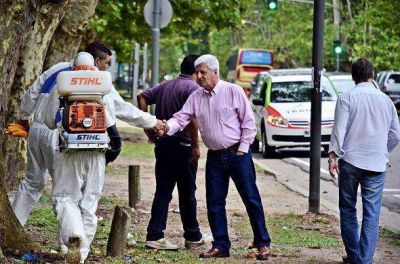 Realizan desinfecci�n, fumigaci�n y desratizaci�n en todo San Fernando