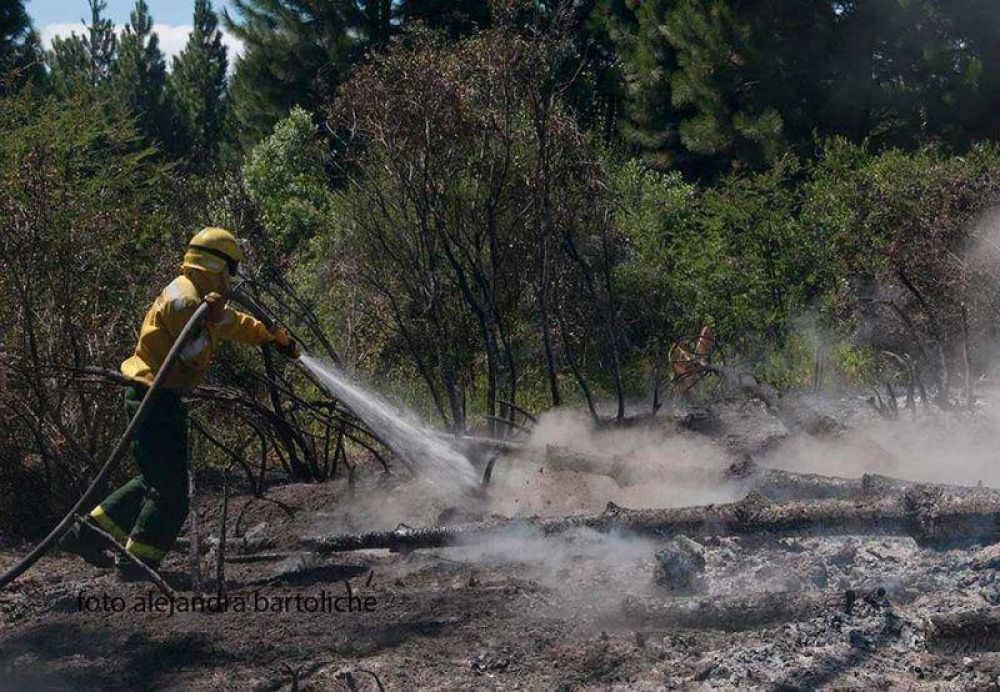 Sofocan incendio en La Paloma