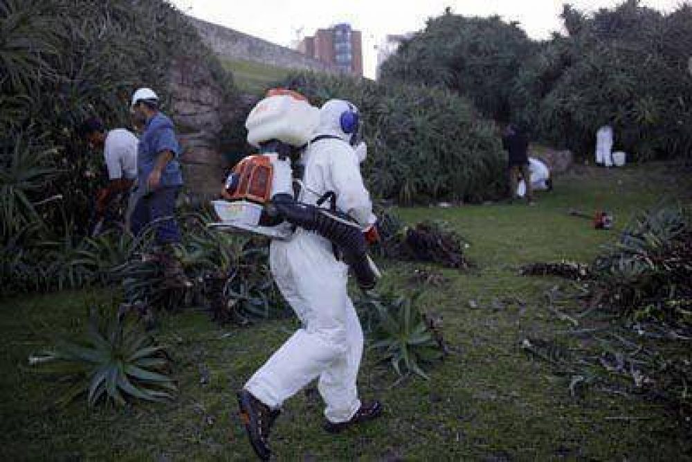 Intensifican las tareas de control de roedores