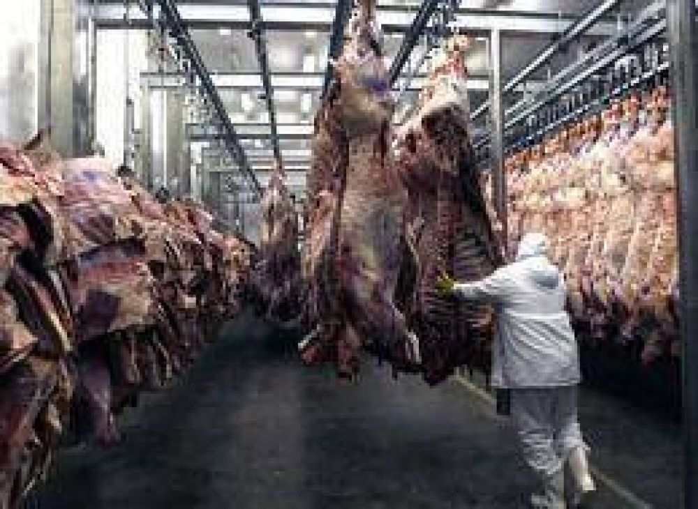 Buscan aumentar la productividad y transparentar la comercializaci�n de la carne