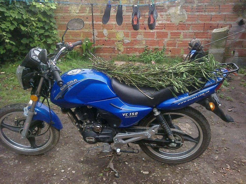 Tres j�venes fueron detenidos a ra�z de un allanamiento; secuestraron un kilo de marihuana