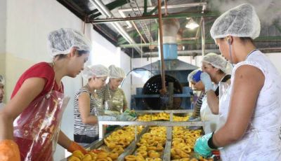 Con apoyo del Gobierno se reactiv� una conservera de Real del Padre