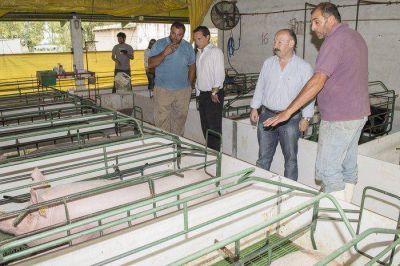 Inza destin� fondos a un emprendimiento porcino