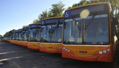 Modifican 17 l�neas del nuevo sistema