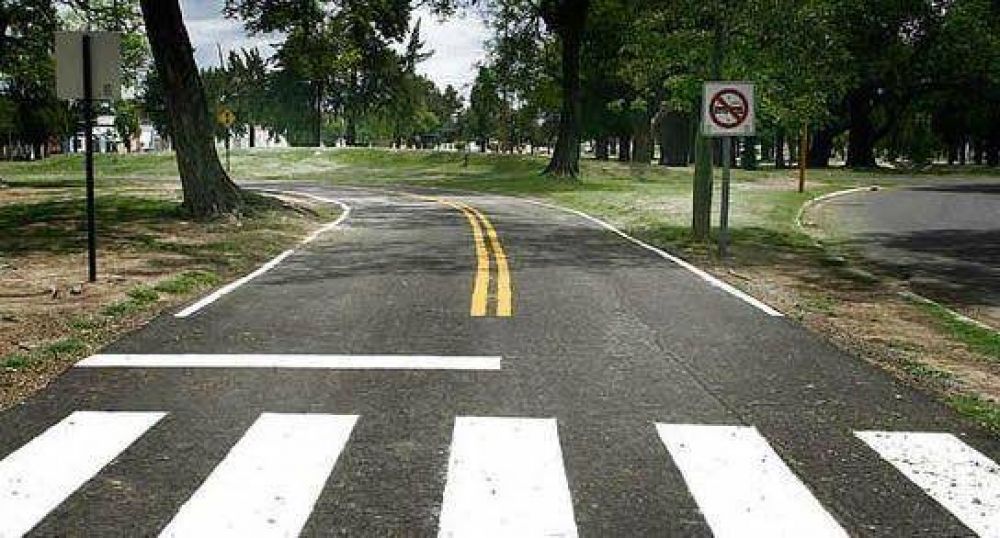 Proponen cambios para la licencia de conducir