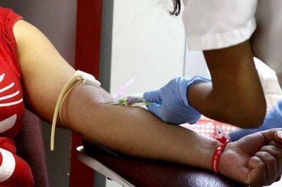 Incentivan a la donaci�n de sangre para la fecha del megarecital del Indio
