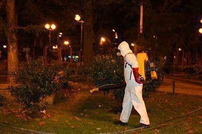 CRONOGRAMA SEMANAL DE FUMIGACIONES EN SAN ISIDRO