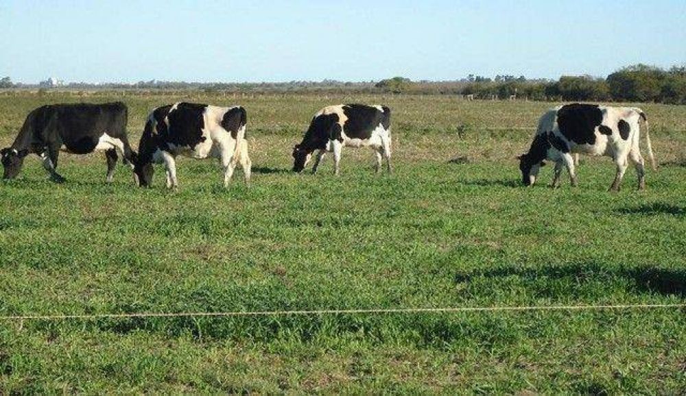 La Rural: �Nuevo atentado contra la ganader�a�
