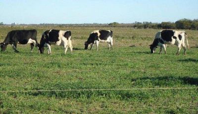 La Rural: �Nuevo atentado contra la ganader�a�