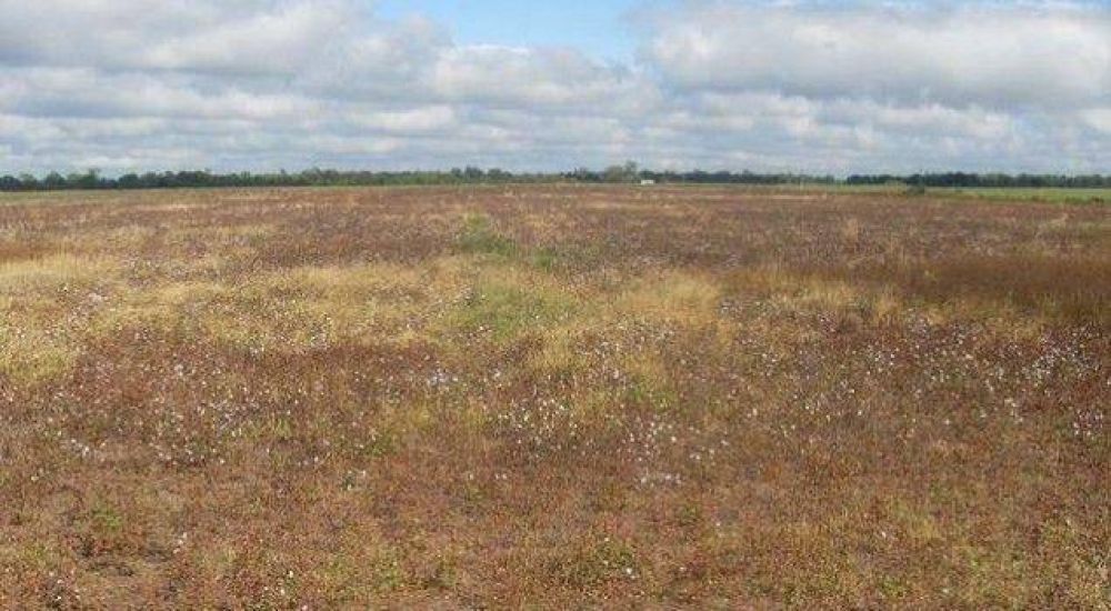 Productores �endeudados y desfinanciados� preparan movilizaci�n