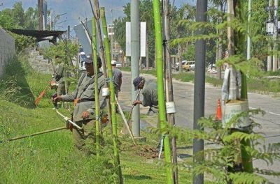 El Municipio realiza operativos de limpieza en el barrio San Jorge