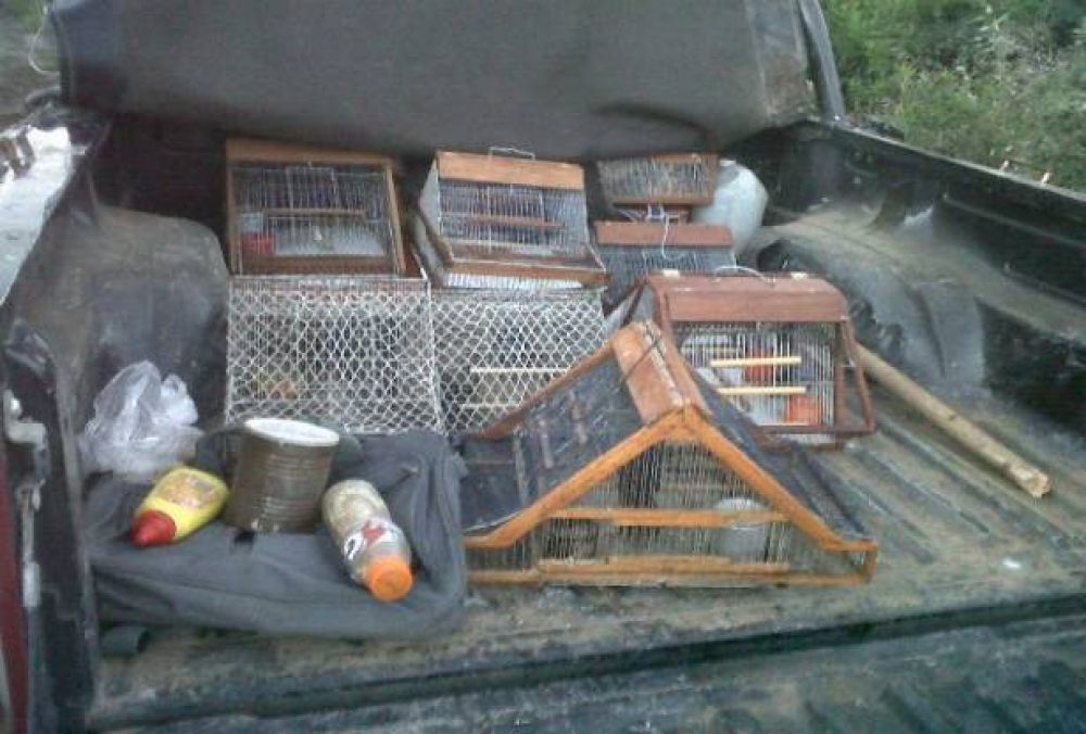 Secuestraron animales y elementos de caza
