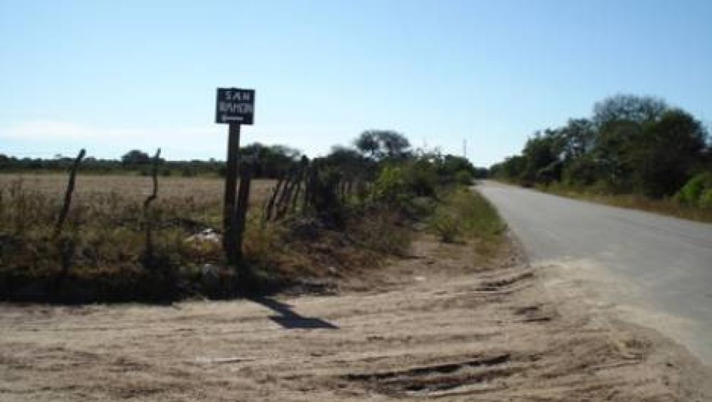At� a su mujer y la atac� a latigazos en el monte