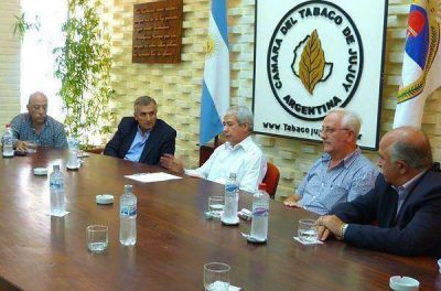 Jujuy: apoyo de la UCR a la dolarizaci�n del precio del tabaco